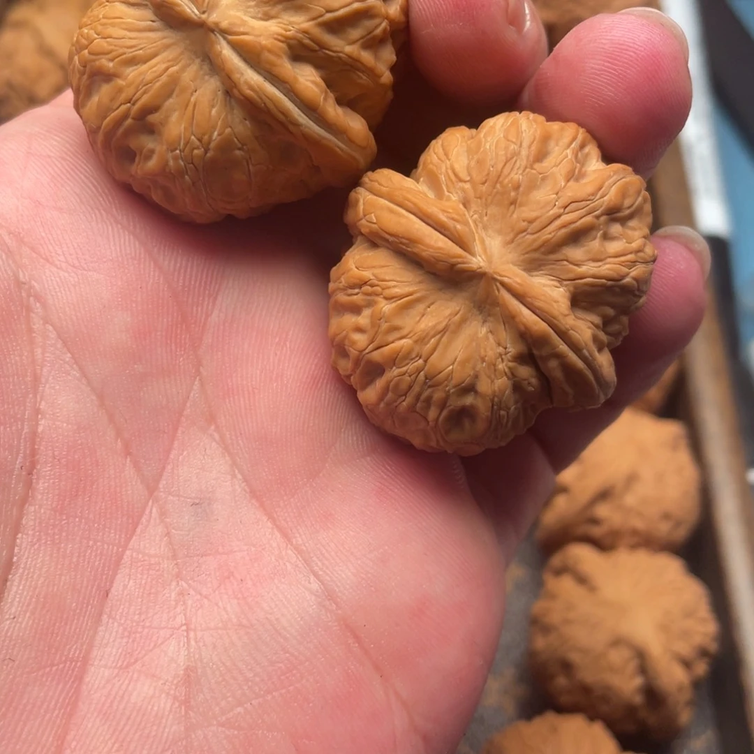 全品元宝无修……….