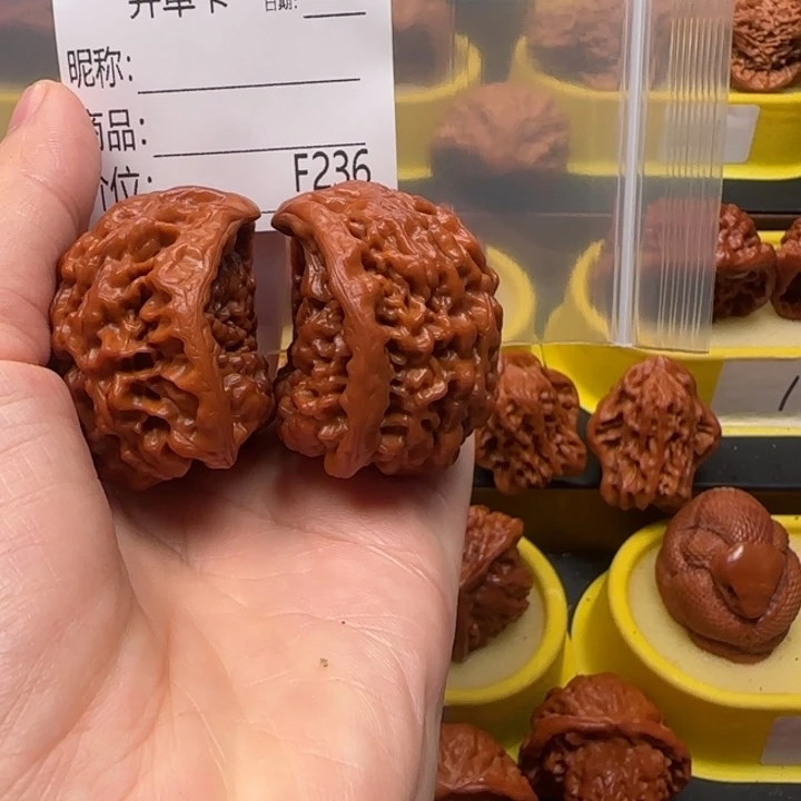 花***落核桃蛇王蛇王蛇王46