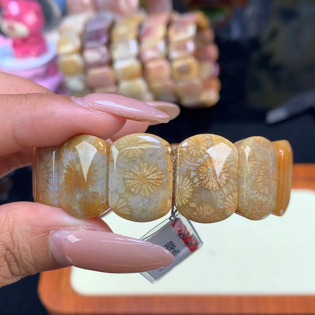 【闪购商品】颈饰未镶嵌硅化珊瑚（珊瑚玉）23号
