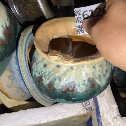 罐6126 微瑕38包邮景德镇陶瓷