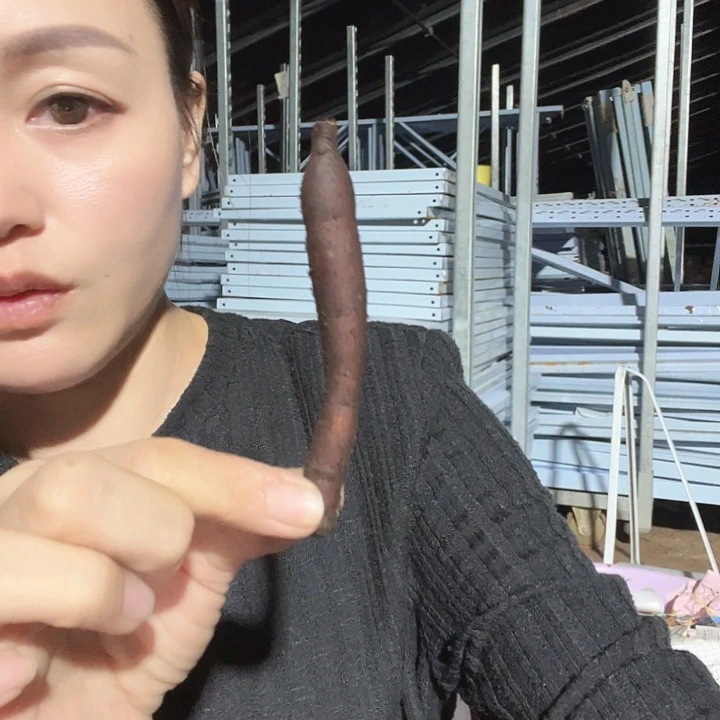 小***宝当前无花栽培后可以开花砰砰根