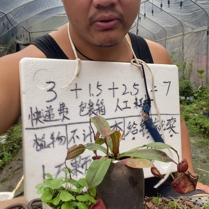 退款拉黑一物一拍62