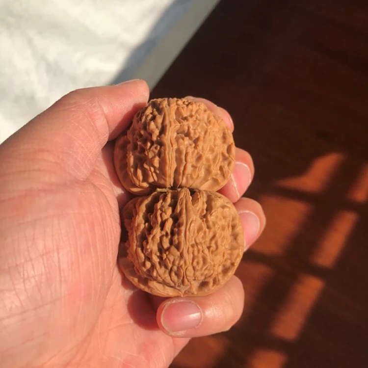 文玩核桃拍单链接（看好扣，不退不换）