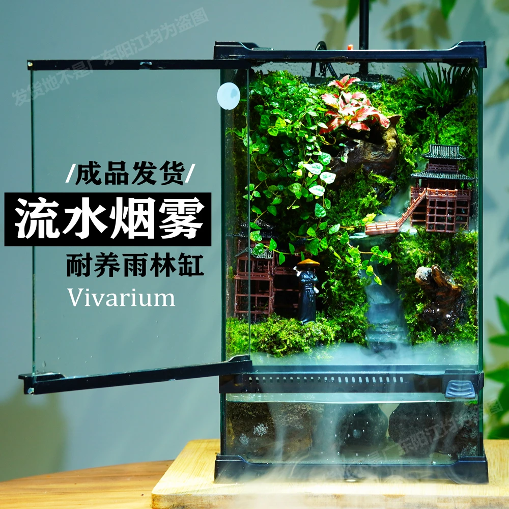 流水烟雾苔藓雨林缸生态缸微景观成品懒人室内桌面微景观生态缸