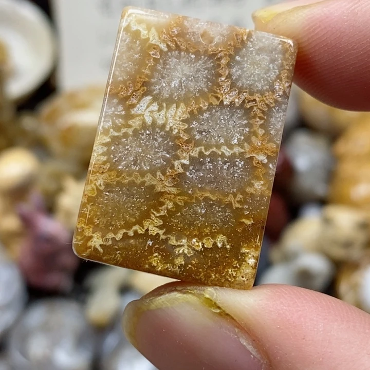颈饰未镶嵌硅化珊瑚（珊瑚玉）有瑕 小