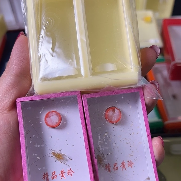 郑***华蟋蟀哈哈哈哈哈哈哈哈哈哈哈
