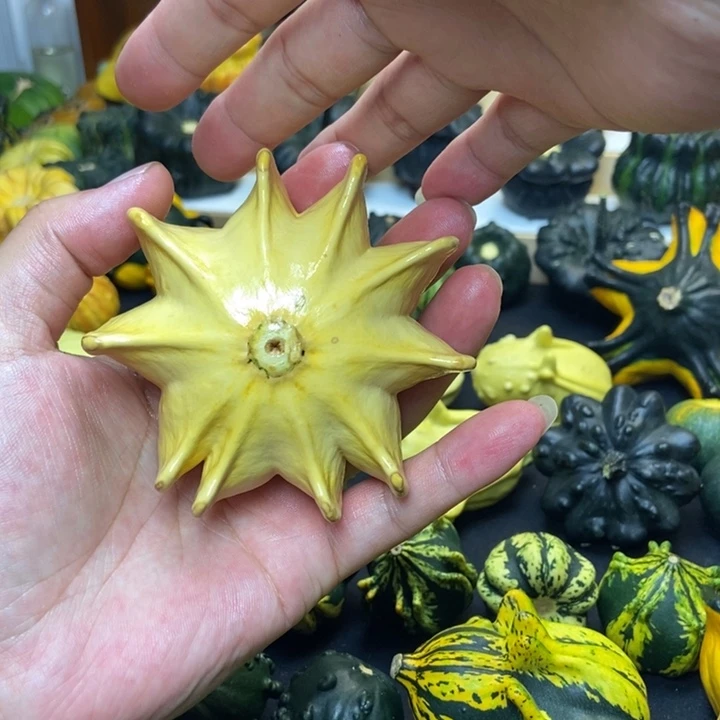 福利福利福利干货福利