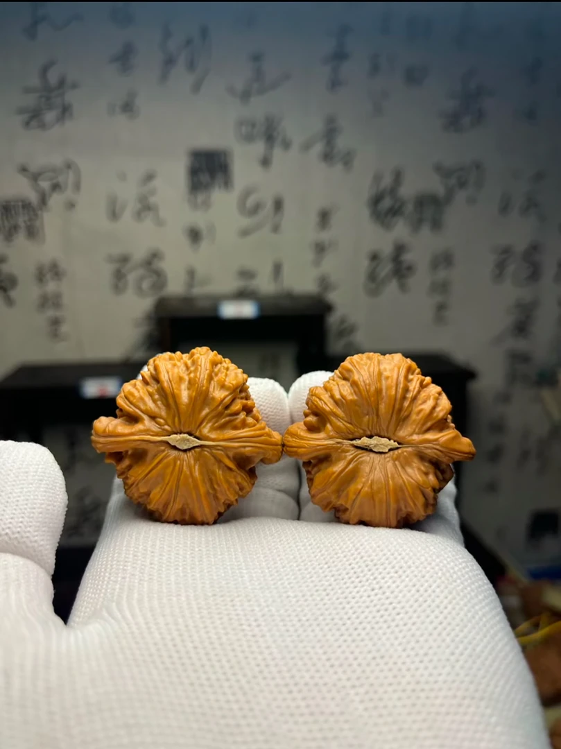 青皮核桃直播专属链接
