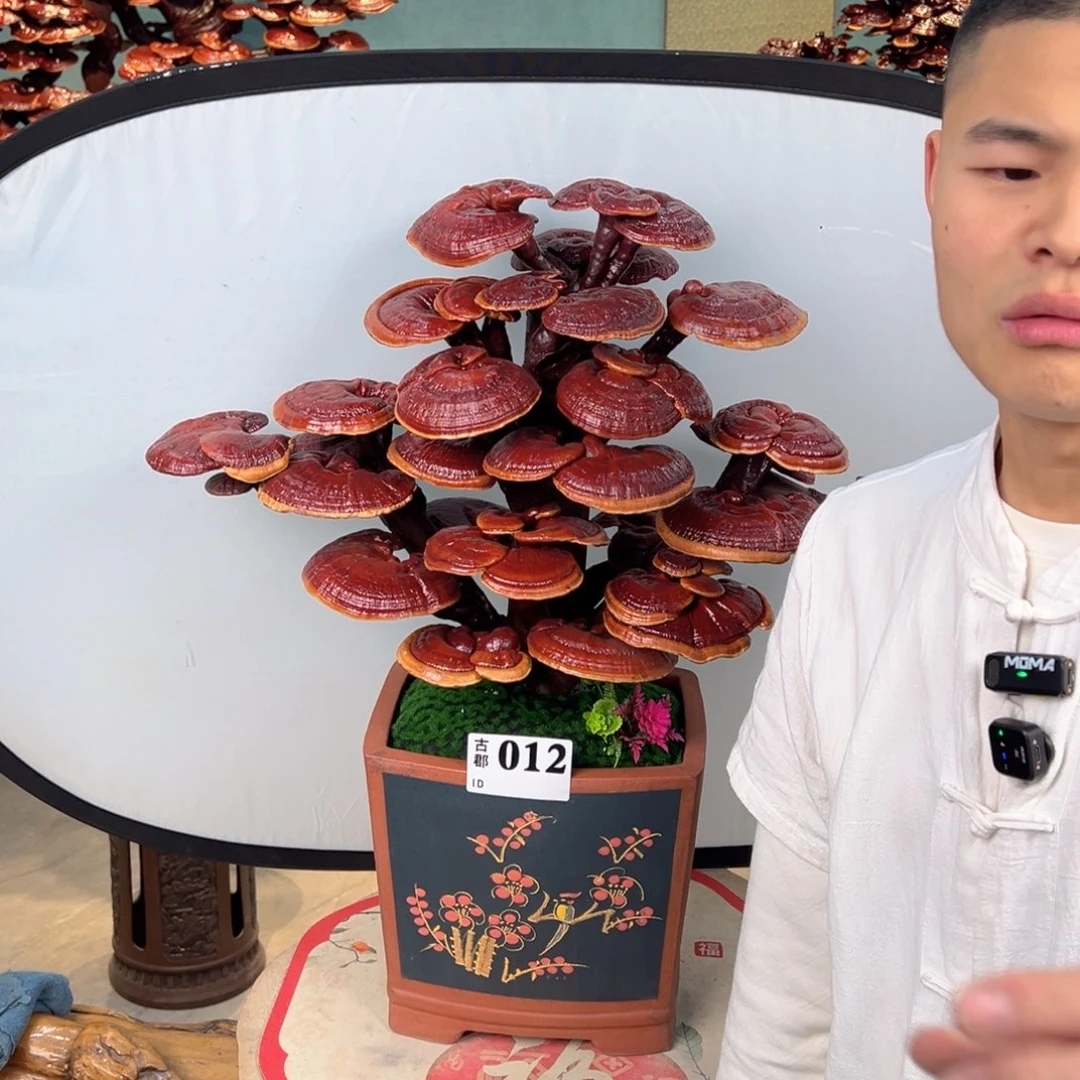 當***家无花朵88888888888