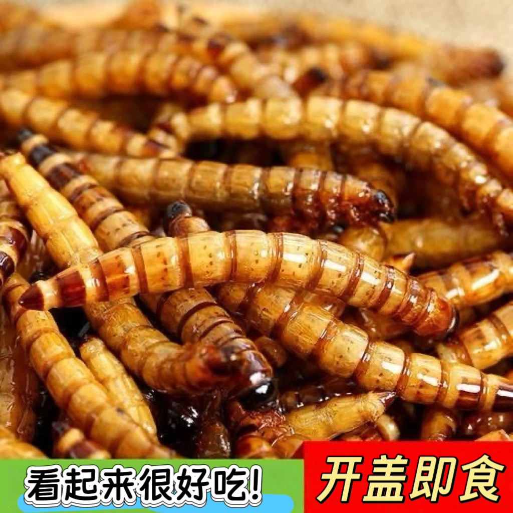 香酥大麦虫即食烘焙虫子美食高蛋白低脂肪营养丰富滋补健康下酒菜