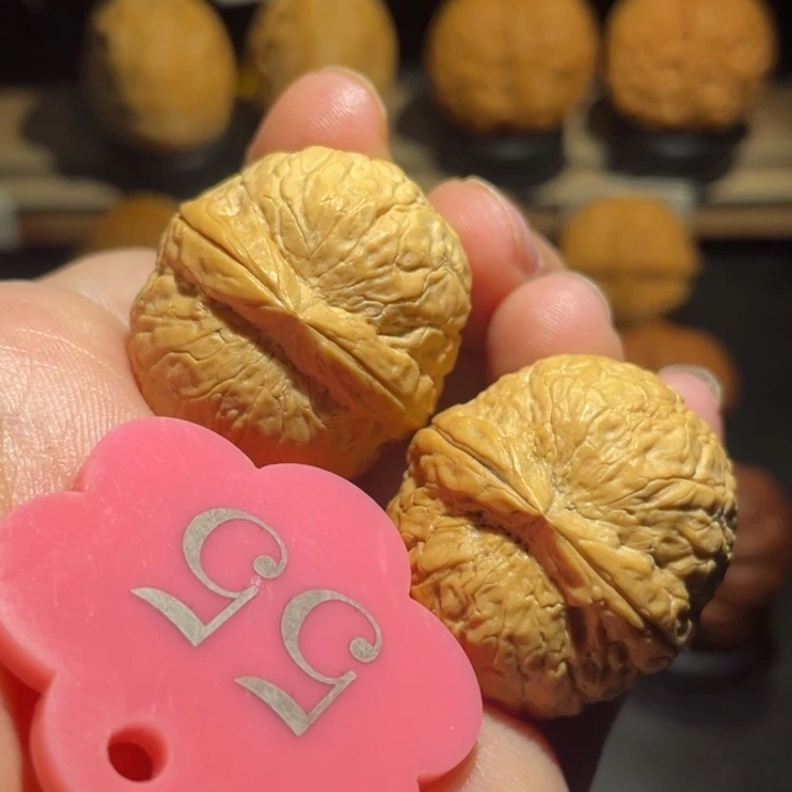 粗筋帝王31尺寸核桃