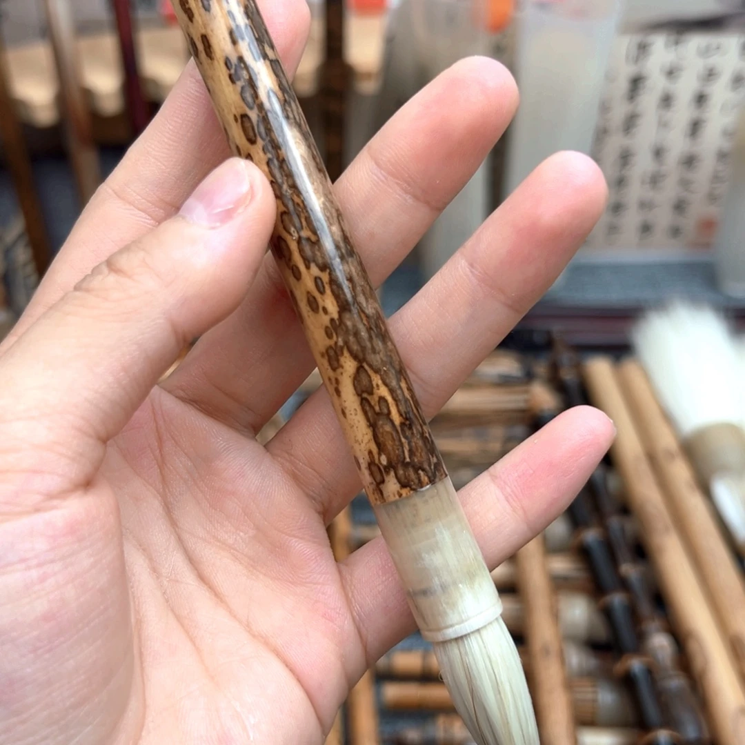 纯兼3.5梅鹿白花牛角