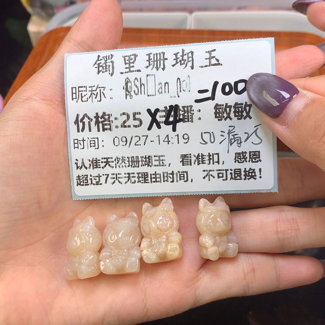 【闪购商品】颈饰未镶嵌硅化珊瑚（珊瑚玉）?****