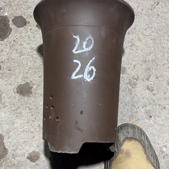 紫砂工艺厂……紫砂工艺厂、