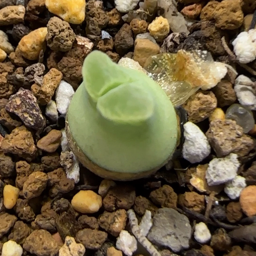 7.13。.92 奶瓶。9012