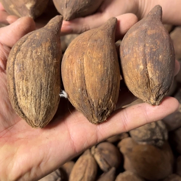 吊坠千眼菩提千菩提 68 号。