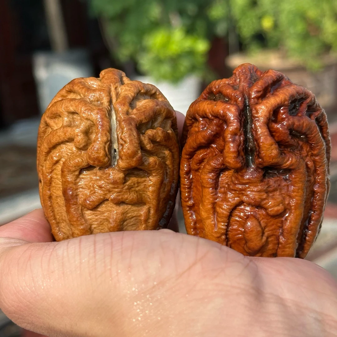 文玩核桃把件粗筋乾坤核 尺寸可选