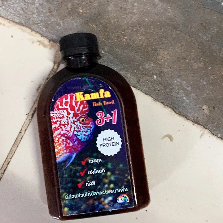 罗汉鱼三合一泰料999999