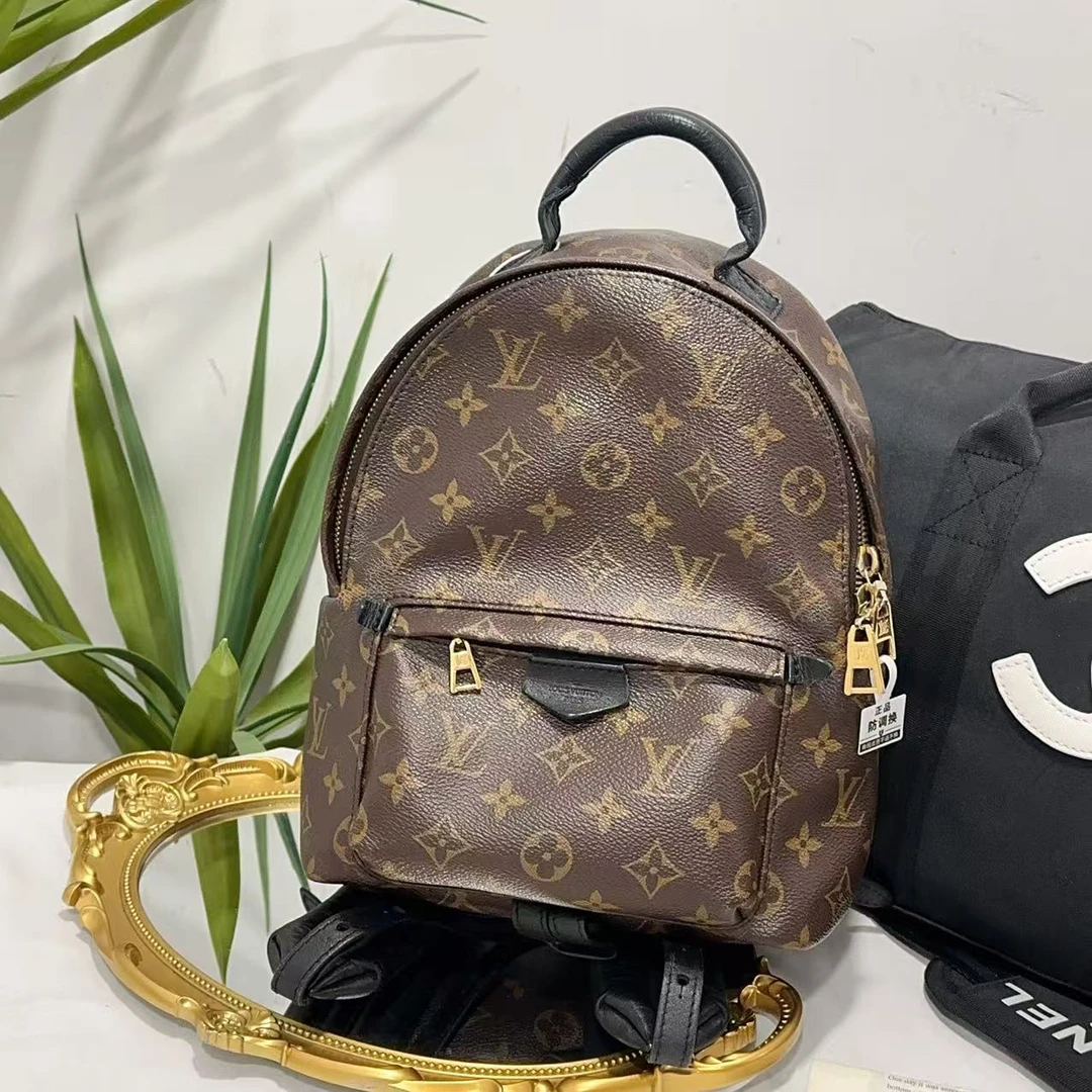 95新 LV lv双肩包/95新/聪聪