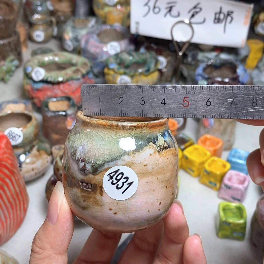 拍5送一个小礼物