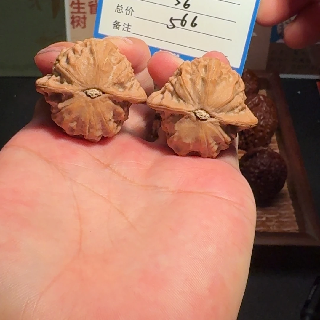A***g瓷娃娃精品编号1806