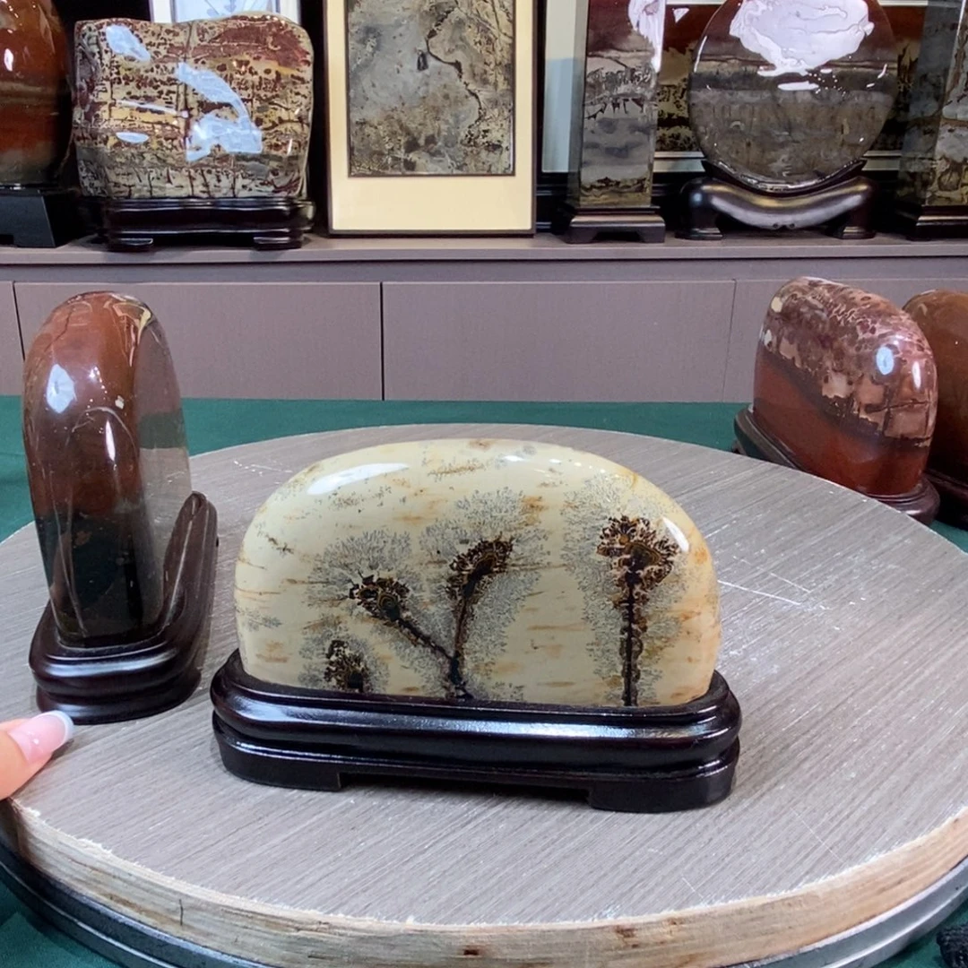 石材广西国画石草花石