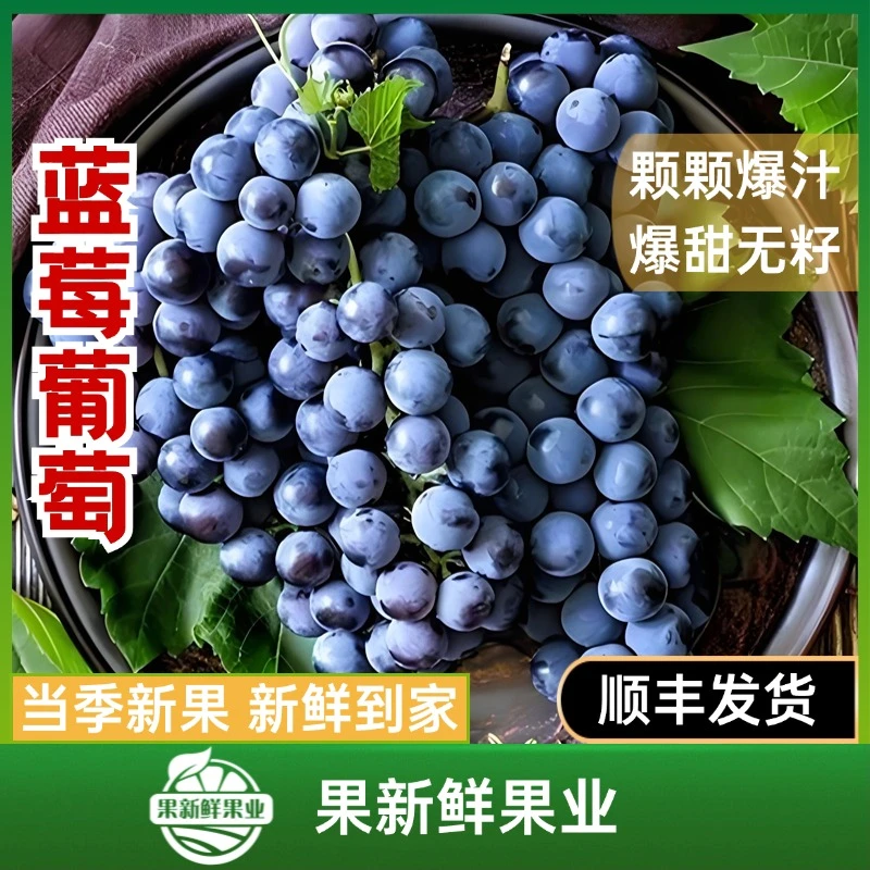 【蓝莓葡萄】（约2.5-5斤）颗颗爆汁爆甜无籽新鲜应季顺丰包邮送货上门云南省