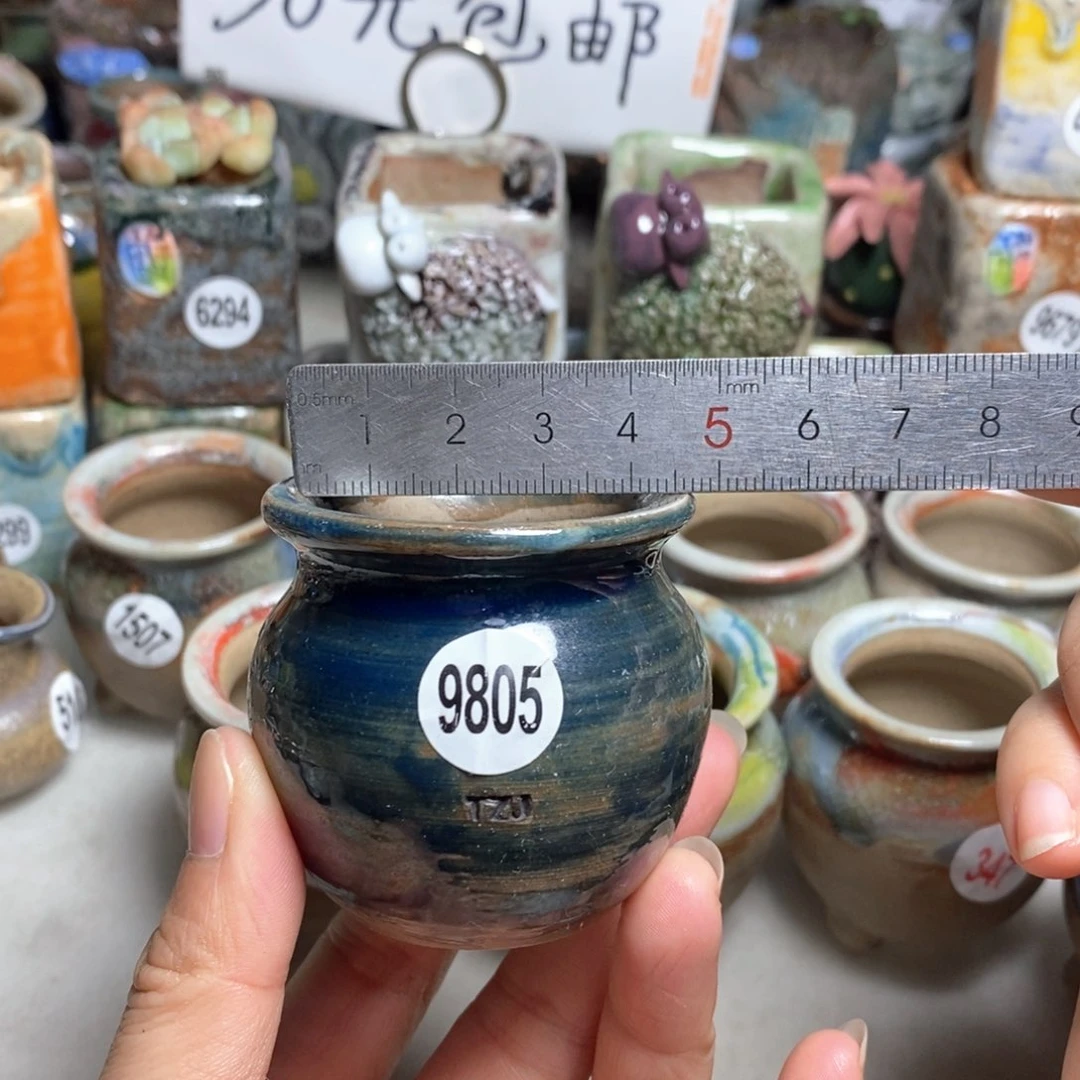 拍5送一个小礼物