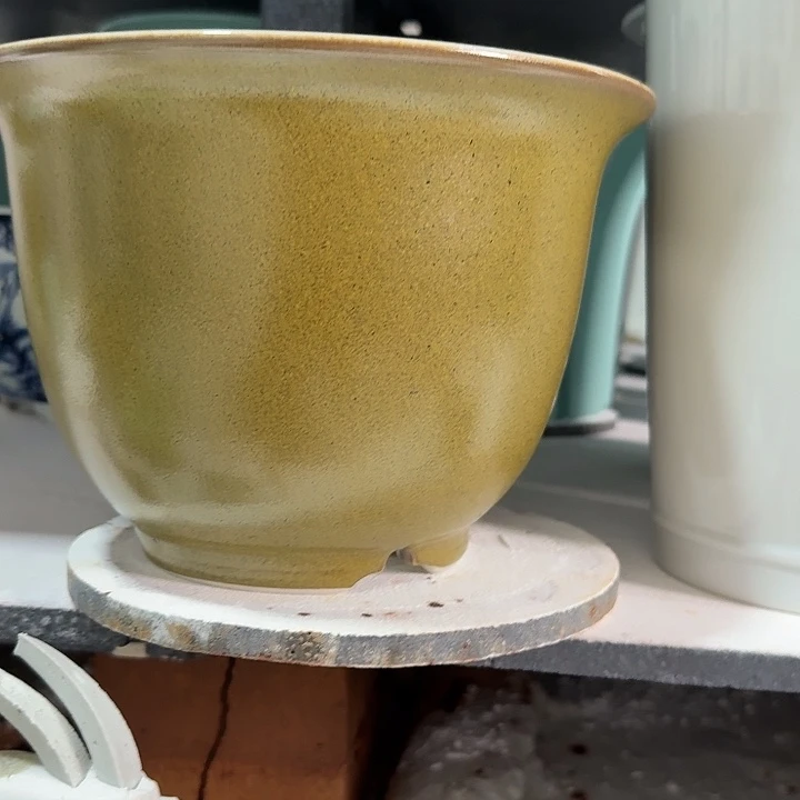 花***儿＿个一个一个一个一个一个一个一个