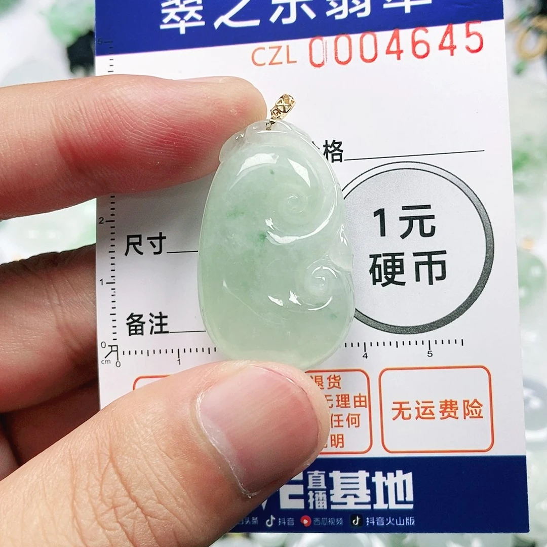 羽***林翡翠未镶嵌吊坠(不含链)