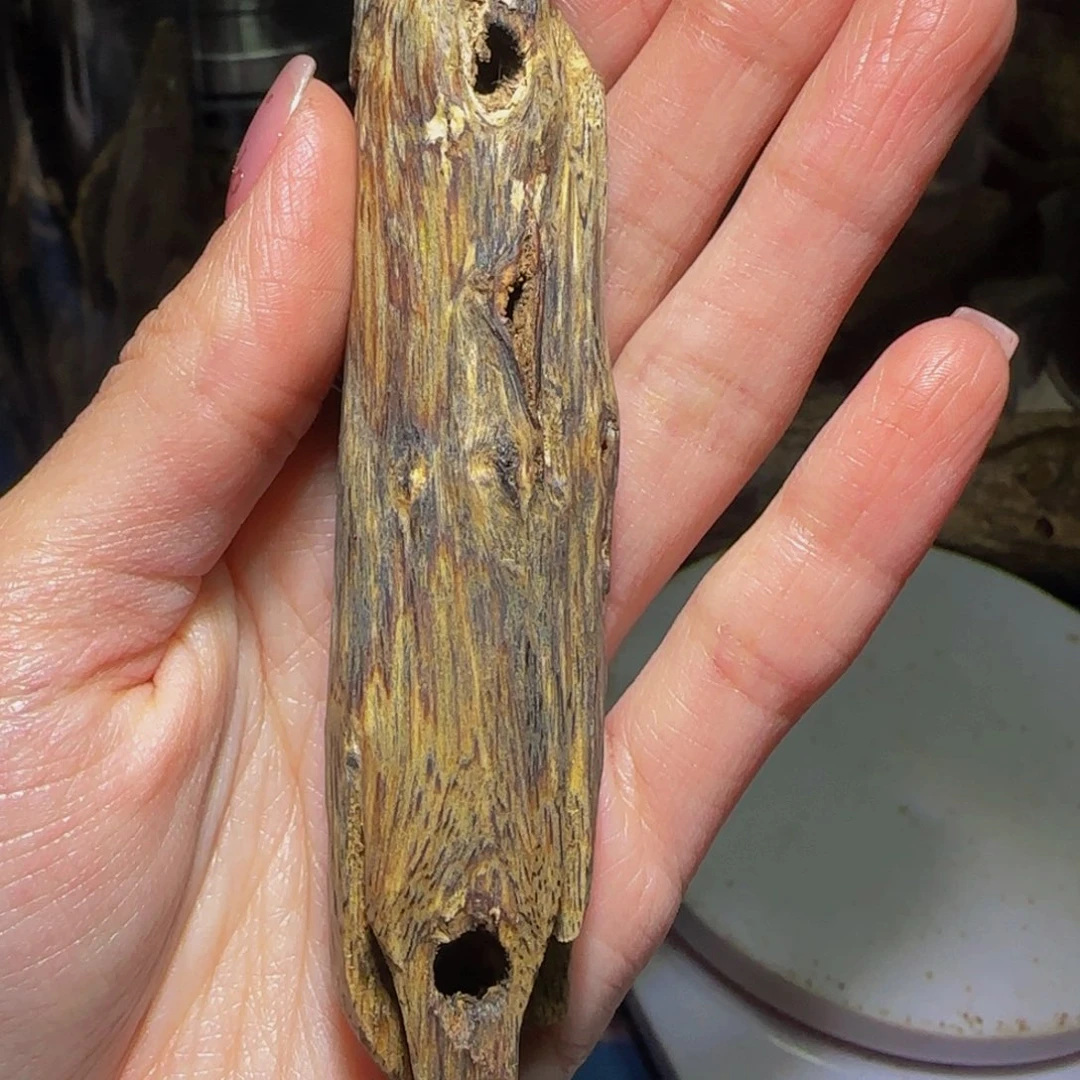 沉香手把件鲁**流沉香奇楠母树老料23克