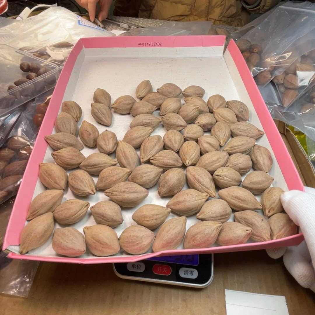 用***天手串/手链橄榄核1