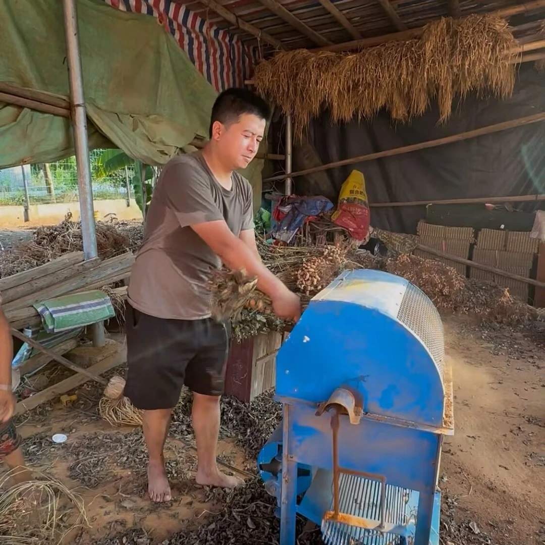 《小马推荐》高安黄土鲜花生干花生现摘新鲜带泥农家自种带壳花生