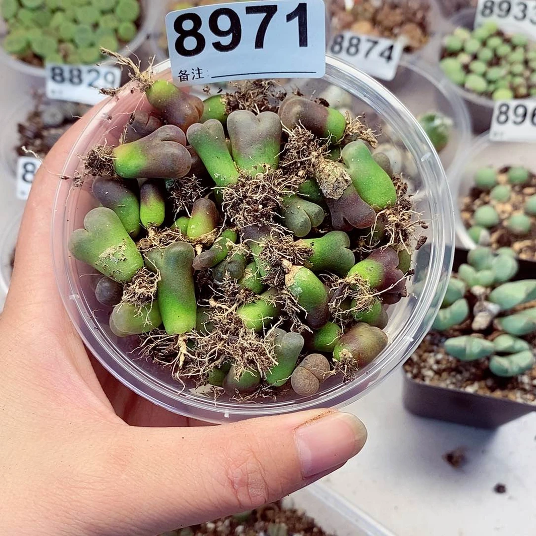 8971来来来找我们哦