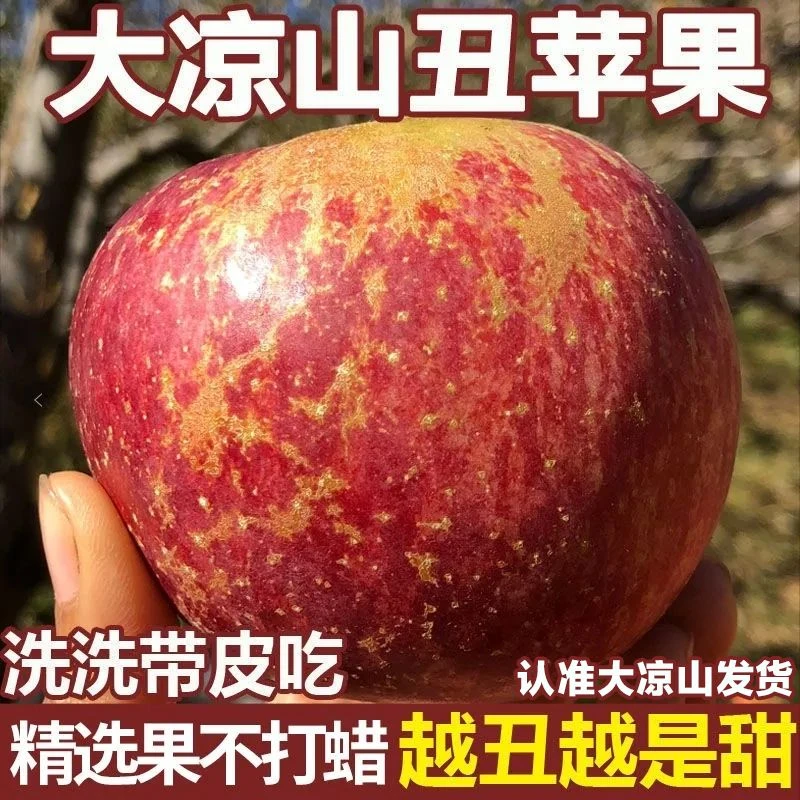 四川大凉山苹果冰糖心丑苹果水果新鲜孕妇当季整箱四川应季酸甜果