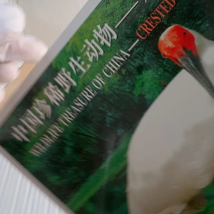 其他普通金属朱鹮卡册