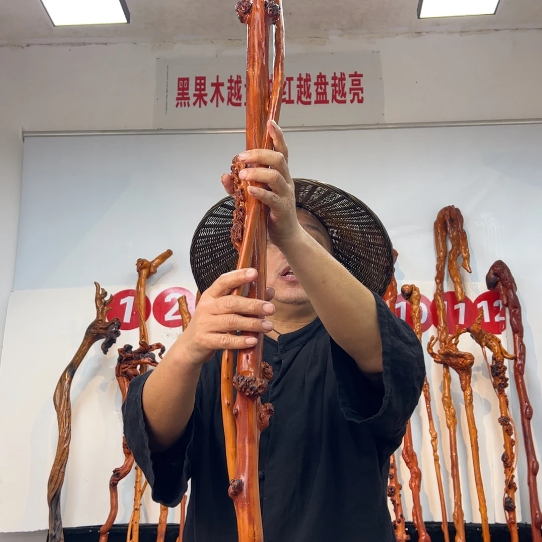 黑果木其他黑果木072