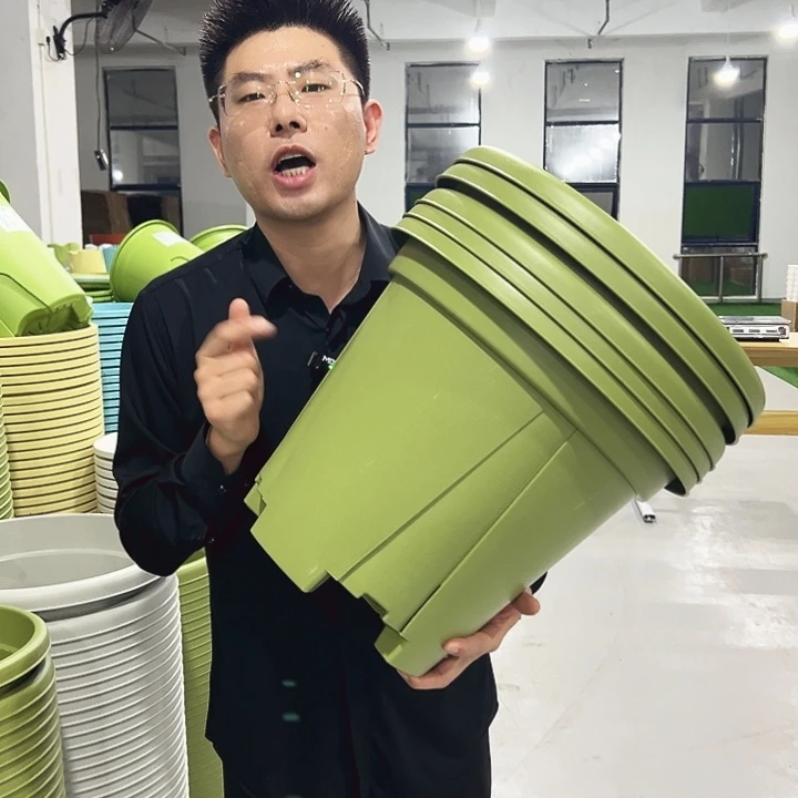 青山口40高34果绿5只无托