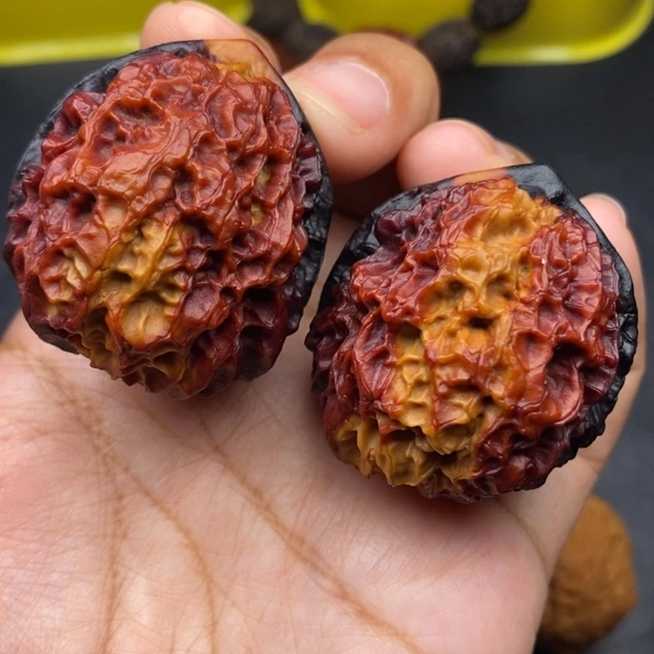 把件文玩核桃44尺珊瑚绣球