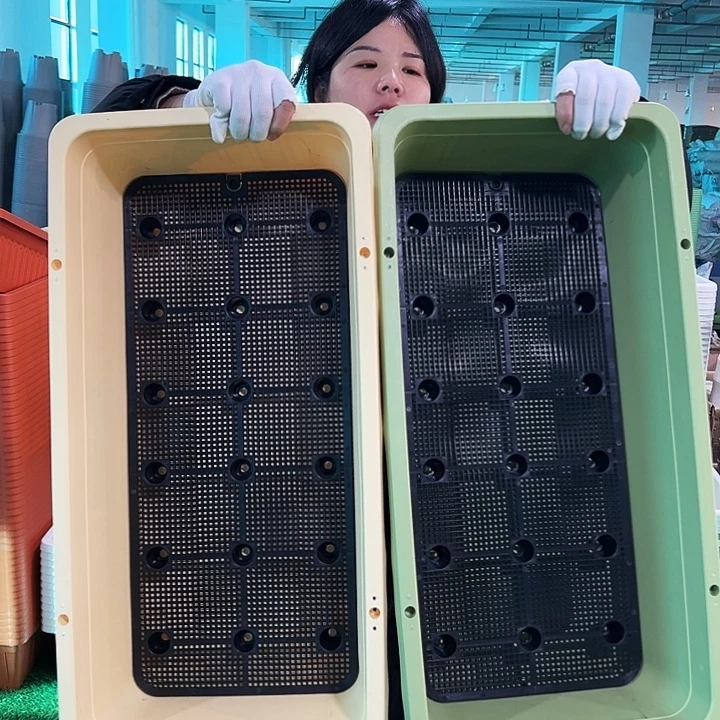 清仓大菜盆长67宽34高18果绿2套