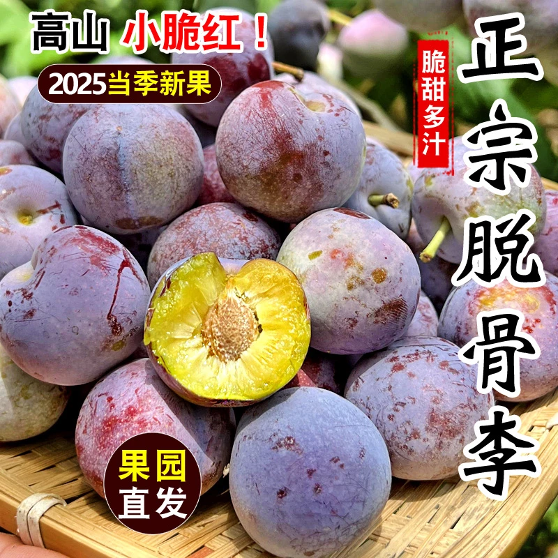 现摘现发四川脆红脱骨李子新鲜当季生态高山脆李脆甜整箱青红脆李