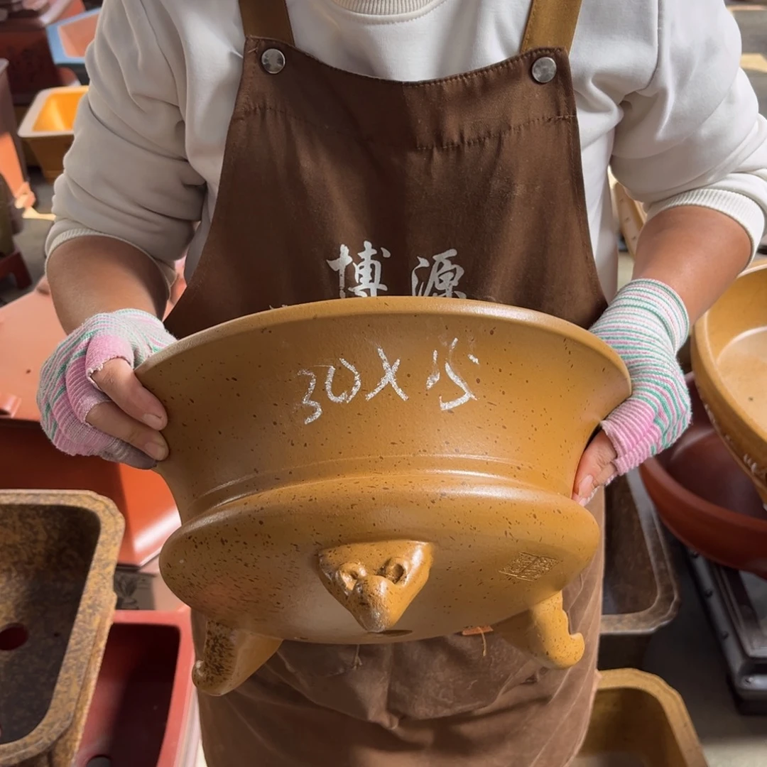 花盆底槽青盆景艺术