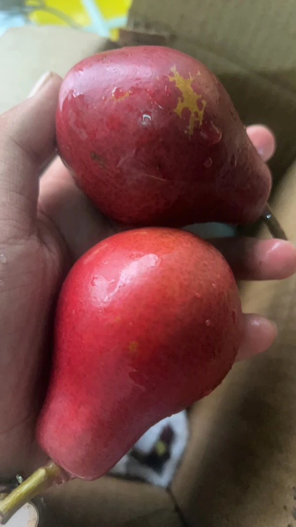 5斤红啤梨（自然成熟）