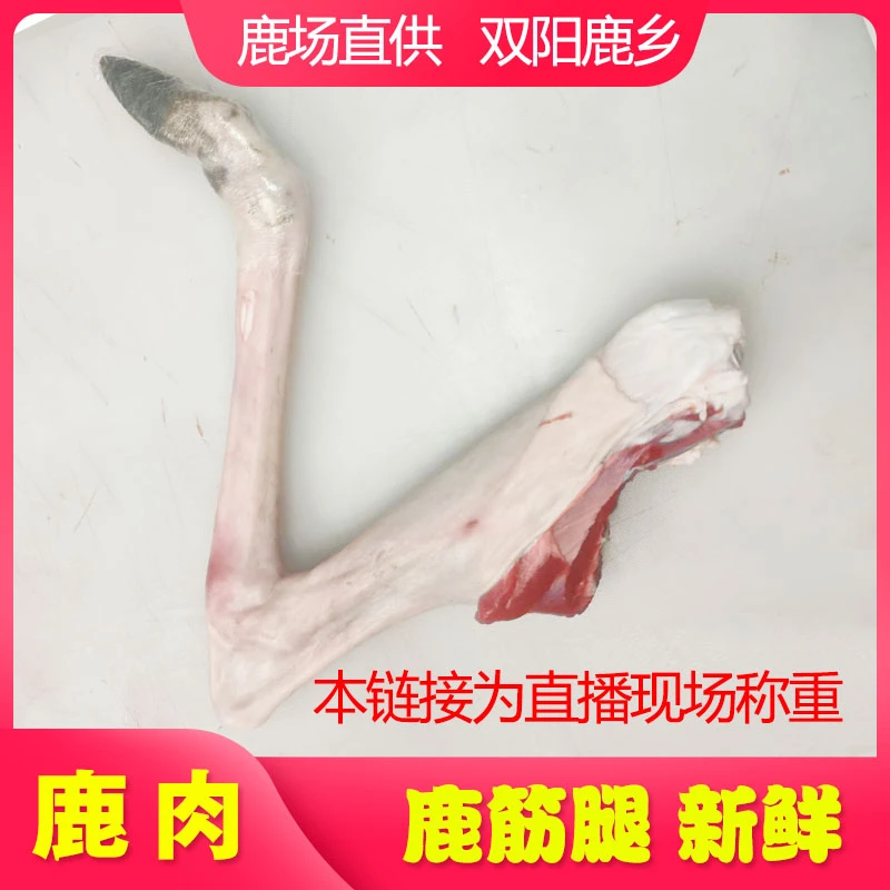 新鲜鹿筋腿 整根现杀新鲜梅花鹿 双阳鹿乡现场称重 大雷鹿肉