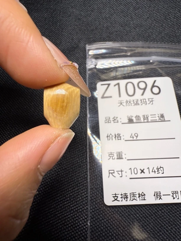 Z1096天然猛犸牙黄金瞳鲨鱼背三通配饰