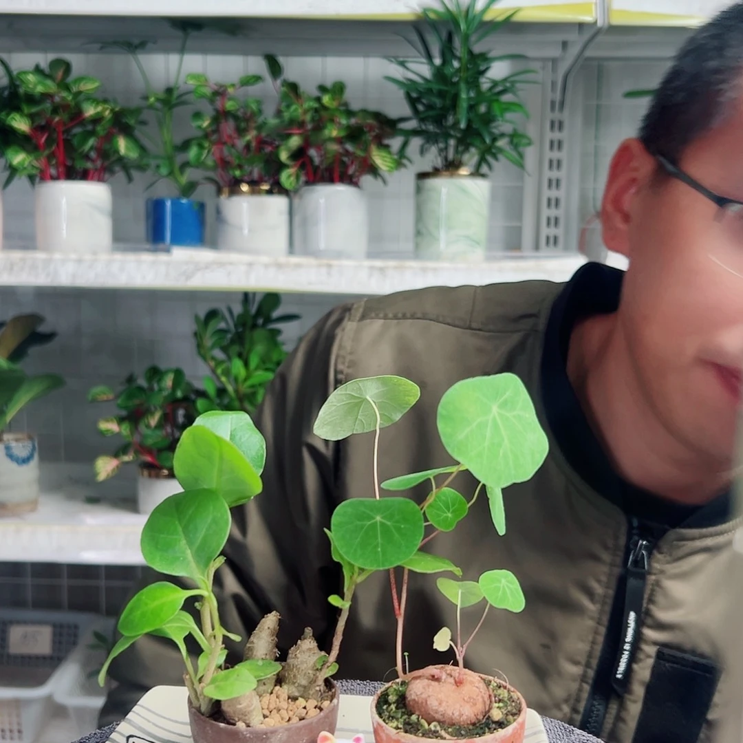 拾***间无花朵15