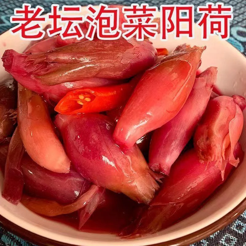 腌制泡菜腌阳荷姜洋荷姜蘘荷坛子菜下饭小菜克袋