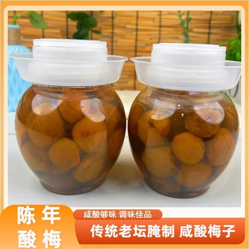 广西酸梅子配菜咸酸青梅腌制咸水梅盐渍青梅灵山横县特产500克