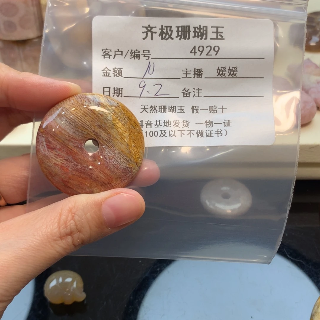 颈饰未镶嵌硅化珊瑚（珊瑚玉）浮*?