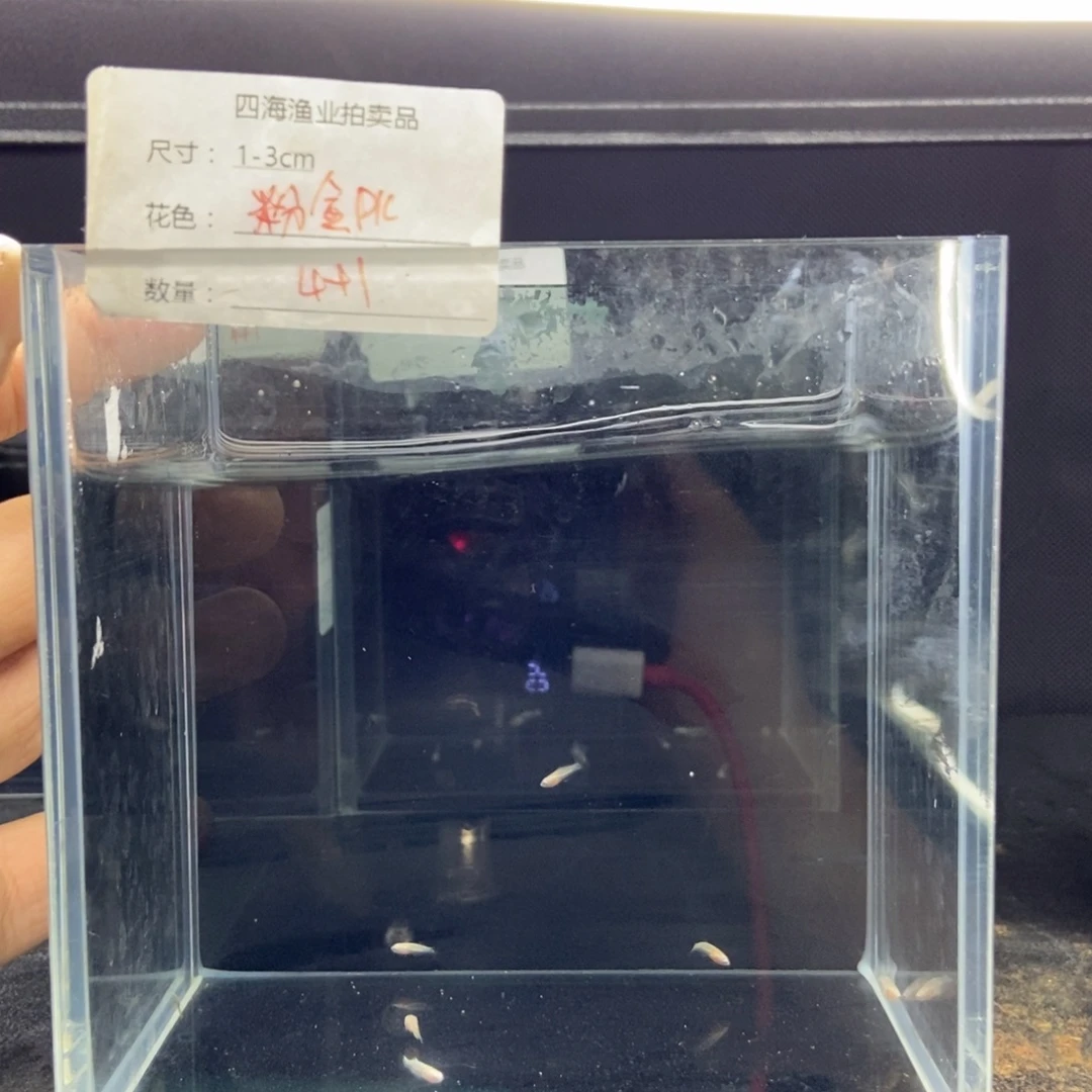 斗鱼包活不包损所见即所得126